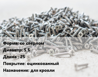 Шуруп со сверлом 5.5х25 оцинкованный для кровли, шт цена По запросу где купить, условия доставки в Кызылорде и Кызылординской области